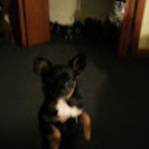 Meet your Posher, Renee